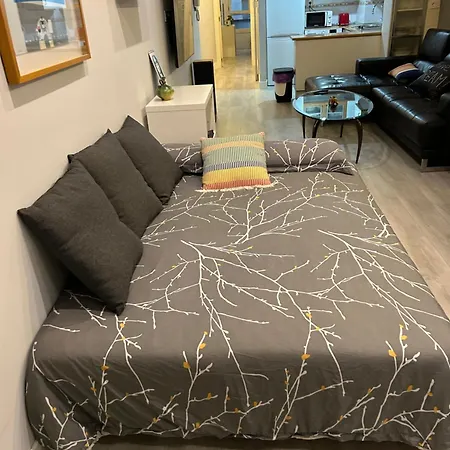 Frente Al Guggenheim. Urbanizacion De Lujo En El Centro * 毕尔巴鄂