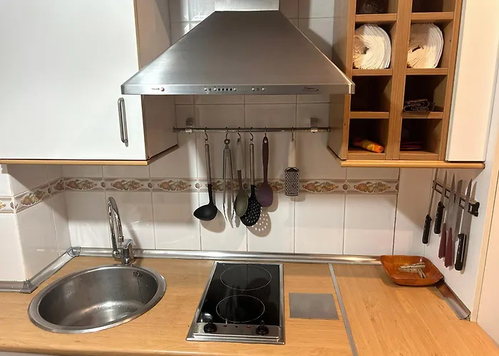 Frente Al Guggenheim. Urbanizacion De Lujo En El Centro Bilbao